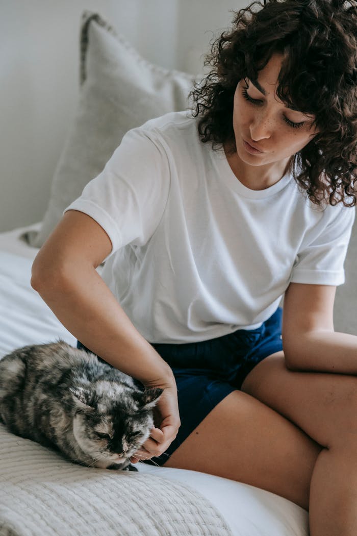 Crop young female with black curly hair wearing casual outfit sitting on soft bed and stroking adorable fluffy cat in light bedroom